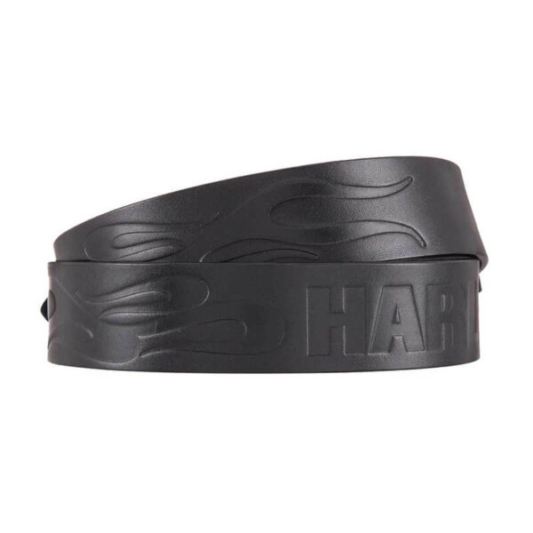 Sissybar New Old School 250-290 mm compatible avec Harley-Davidson Chromé