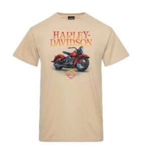 Tee-Shirt de concession Harley-Davidson La Rochelle - GOUACHE