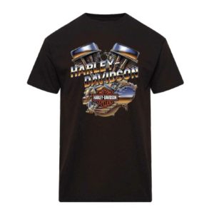 Tee-Shirt de concession Harley-Davidson La Rochelle - RUMBLE
