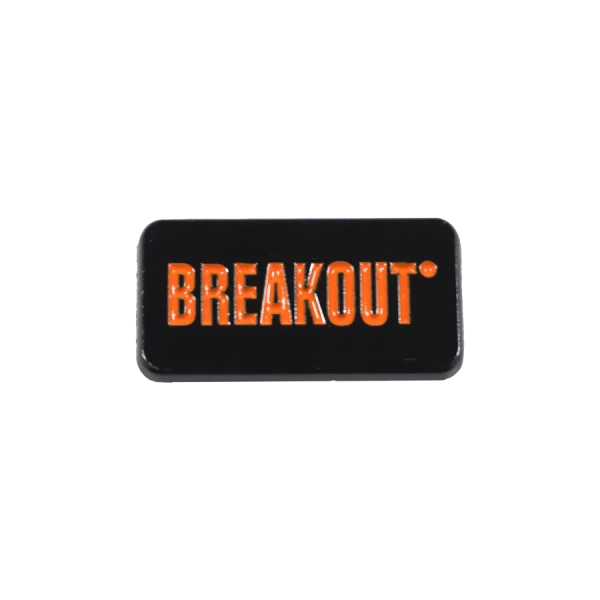 Pin's Breakout
