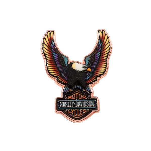 Pin's Aigle B&S Harley Davidson