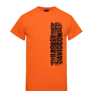 Tee-Shirt de concession Harley-Davidson La Rochelle - STRAIGHT