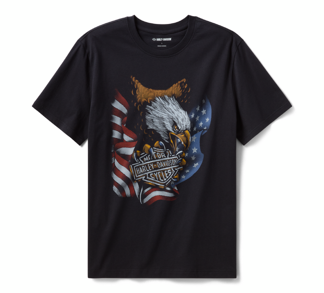 T-shirt Stars & Stripes Eagle pour hommes