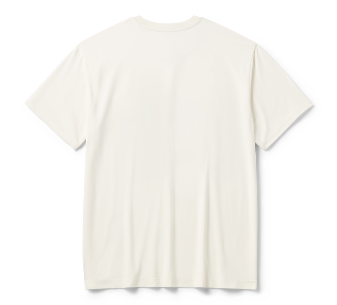 T-shirt Stars & Stripes pour hommes - Cloud Dancer – Image 2