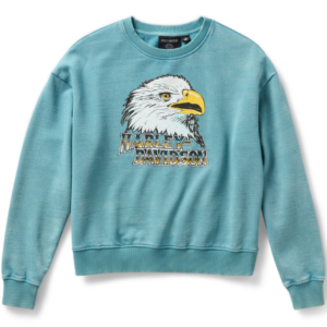 SWEATSHIRT TEAL BLUE