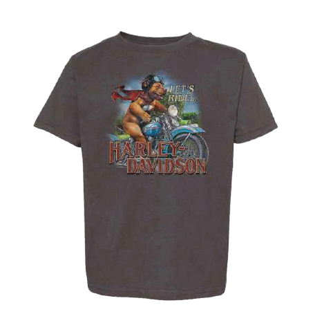 Tee-shirt de concession Harley Davidson La Rochelle pour enfant