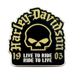 Pin's Classic G